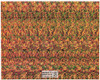 Dragon Magic Eye 3D Optical Illusion Postcard, Classico SF #528-004, 8x10"