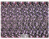 Soccer Magic Eye 3D Optical Illusion Postcard, Classico SF #528-029, 8x10"