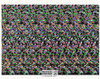 Rock Climbing Magic Eye 3D Optical Illusion Postcard, Classico SF #528-045, 8x10"