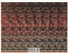 Lions Magic Eye 3D Optical Illusion Postcard, Classico SF #528-058, 8x10"