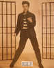 Elvis Presley Sepia Poster Postcard by Classico SF #130-234, 11x14"