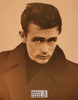 James Dean Sepia Poster Postcard by Classico SF #130-310, 11x14"