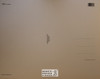Gone With the Wind Poster Postcard by Classico SF #182-032, 11x14"
