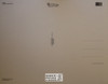 Beavis and Butthead Cartoon Poster Postcard by Classico SF #182-066, 11x14"