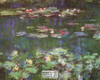 Water Lilies by Claude Monet Painting Poster Postcard by Classico SF #194-006, 11x14"