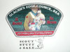 Glacier's Edge Council pa84 CSP - 2017 Popcorn Top Salesman