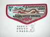 Order of the Arrow Lodge #317 Guneukitschik s10a Flap Patch