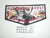 Order of the Arrow Lodge #540 Ahtuhquog 2010 National Jamboree Flap Patch