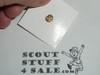 District Committee Knot Device Pin, Scout emblem