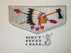 Order of the Arrow Lodge #176 Minniduta s2a Flap Patch