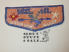 Order of the Arrow Lodge #378 Gila f3a Flap Patch
