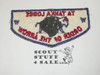 Order of the Arrow Lodge #488 Ta Tanka f1 First Flap Patch, small spot of paper on back