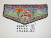 Order of the Arrow Lodge #548 Sha-Cha-Quoi s1b First Flap Patch