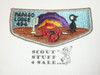 Order of the Arrow Lodge #494 Papago s6 25th Anniversary Flap Patch - Boy Scout