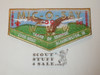 Order of the Arrow Lodge #541 Mic-O-Say 2009 NOAC and 50th Anniversary Flap Patch