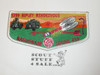Order of the Arrow Lodge #31 Naguonabe 1999 Ripley Rendezvous Flap Patch