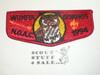Order of the Arrow Lodge #39 Wunita Gokhos s19 1994 NOAC Flap Patch