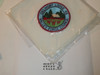Order of the Arrow Lodge #43 Delmont r7 Patch on Neckerchief