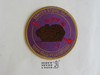 Order of the Arrow Lodge #383 Tahosa 1994 Fellowship Patch