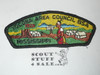 Yocona Area Council s4a CSP - Scout