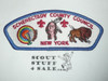 Schenectady County Council s2 CSP - Scout   MERGED