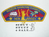 Hudson Hamilton Council sa4 CSP - Scout  Merged