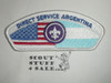 Direct Service Council ARGENTINA s1 CSP - Scout