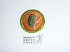 Insect Study - Type H - Fully Embroidered Plastic Back Merit Badge (1972-2002)