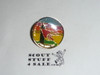 National Order of the Arrow Conference (NOAC), 1998 Pin