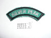 1980's Camp Emerald Bay Silver Peak Segment Patch