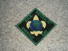 1990's Camp Emerald Bay Naturalist Patch