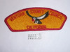 Ventura County Council s4 CSP - Scout     #azcb