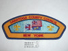 Saratoga County Council t1 CSP - Scout  MERGED     #azcb