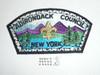 Adirondack Council s3 CSP - Scout  MERGED     #azcb