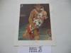 Norman Rockwell, A Scout is Helpful, 11x14 On Heavy Cardstock