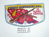 Order of the Arrow Lodge #560 Eswau Huppeday 1999 35th anniv Flap Patch