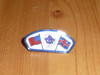 USA and UK Flag with World Scouting Emblem CSP Shaped Pin - Scout