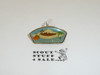 Old Baldy Council CSP Shape Pin #2