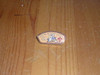 General Herkimer Council CSP shaped Pin - Scout