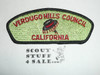 Verdugo Hills Council s4 CSP - Scout
