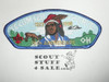 Tecumseh Council s15 CSP - Scout