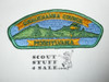 Susquehanna Council s2 CSP - Scout
