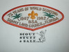 Sunny Land Council t3b CSP - Scout - MERGED