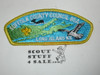 Suffolk County Council s1a CSP - Scout