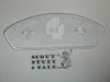 Southwest Michigan Council SA-7 CSP Ghost for the 1998 NOAC