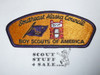 Southeast Alaska Council s3 CSP - Scout  MERGED