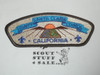 Santa Clara County Council s4 CSP - Scout