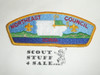Northeast Iowa Council s1 CSP - Scout