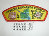 New Orleans Area Council s2a CSP - Scout  NAME CHANGE