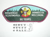 Indianhead Council s8 CSP - Scout